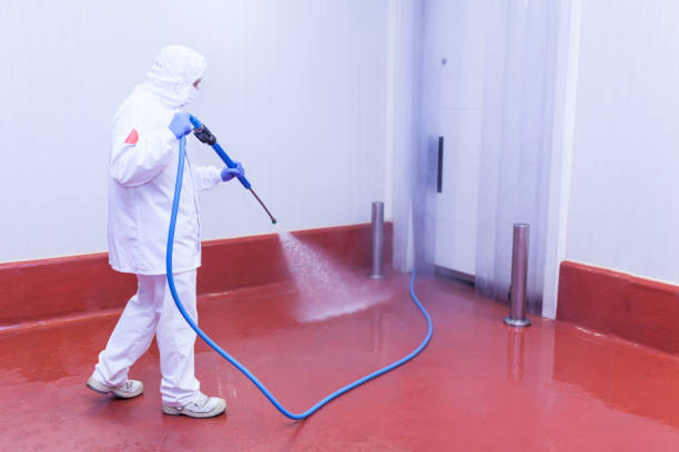Best Commercial Pressure Washing in Fallsburg, NY